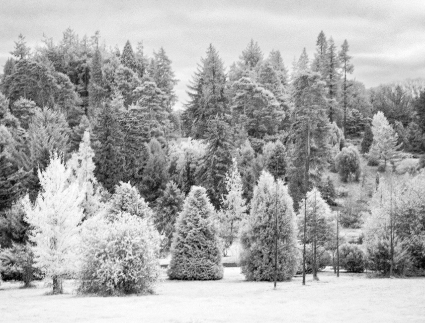 WI901 Bedgebury 10 11 24